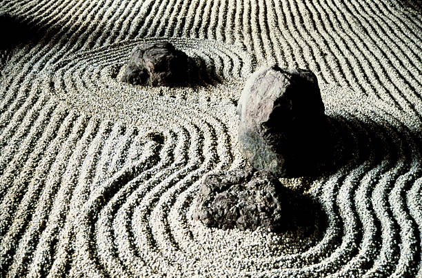 Trois fragilités et une pierre dans le jardin
